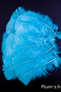 Dinde - 6-8 cm - glace